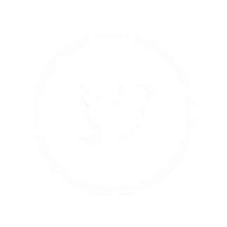 twitter-logo